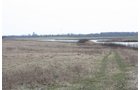 Property photo 16 - 194.67 Acres Offered in 2 Tracts